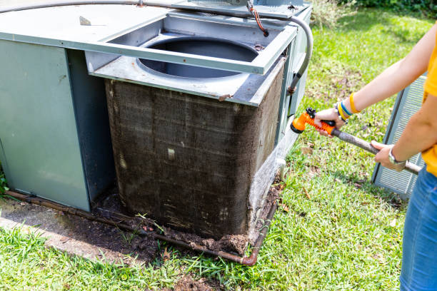 Best Air Duct Sanitizing Services  in Womelsdorf, PA