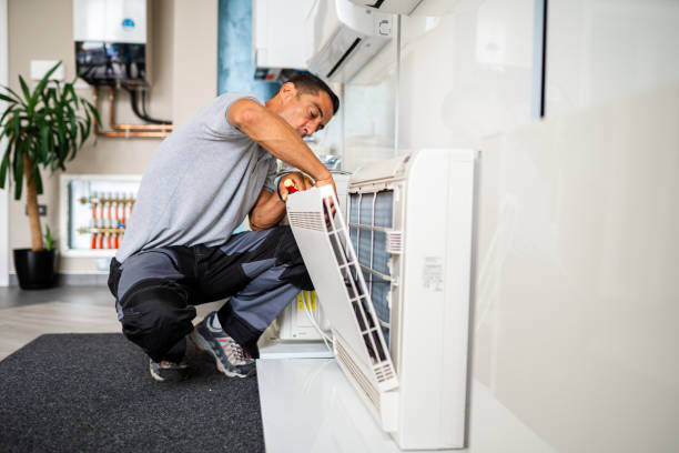 Best Home Air Vent Cleaning  in Womelsdorf, PA