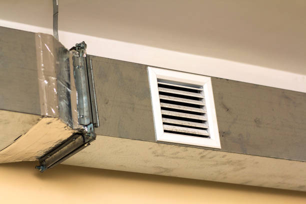 Best HVAC Duct Inspection Services  in Womelsdorf, PA