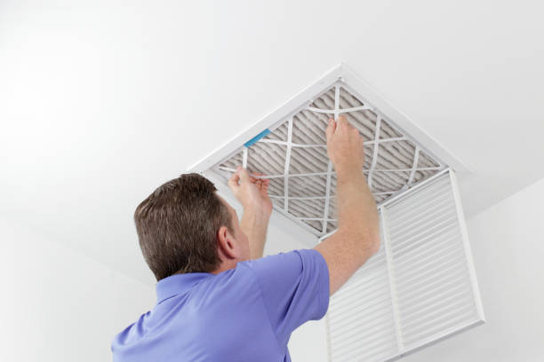 Best Local Air Duct Cleaning Services  in Womelsdorf, PA